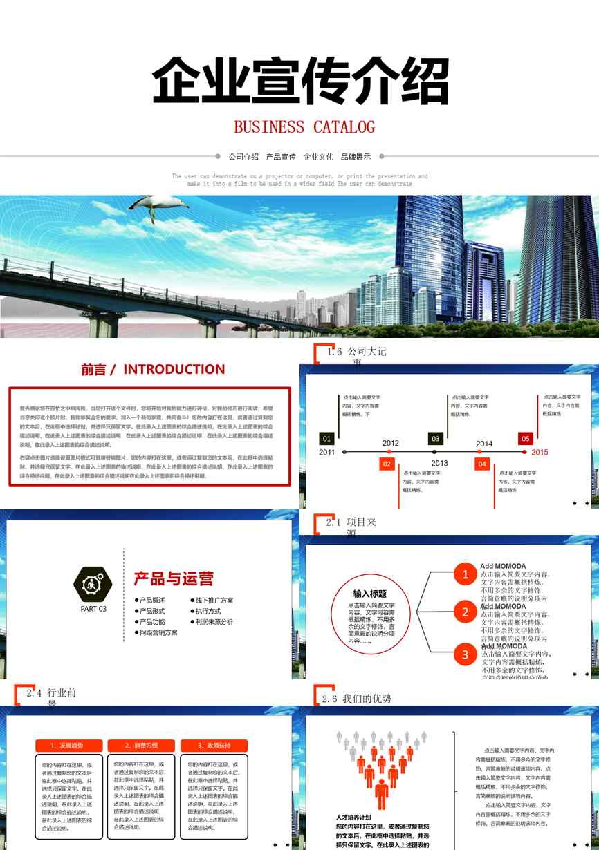 介绍宣传 (81)企业宣传PPT模板